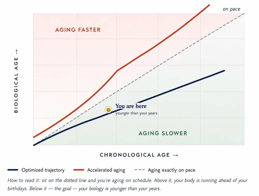 Graphical representation of biological age
