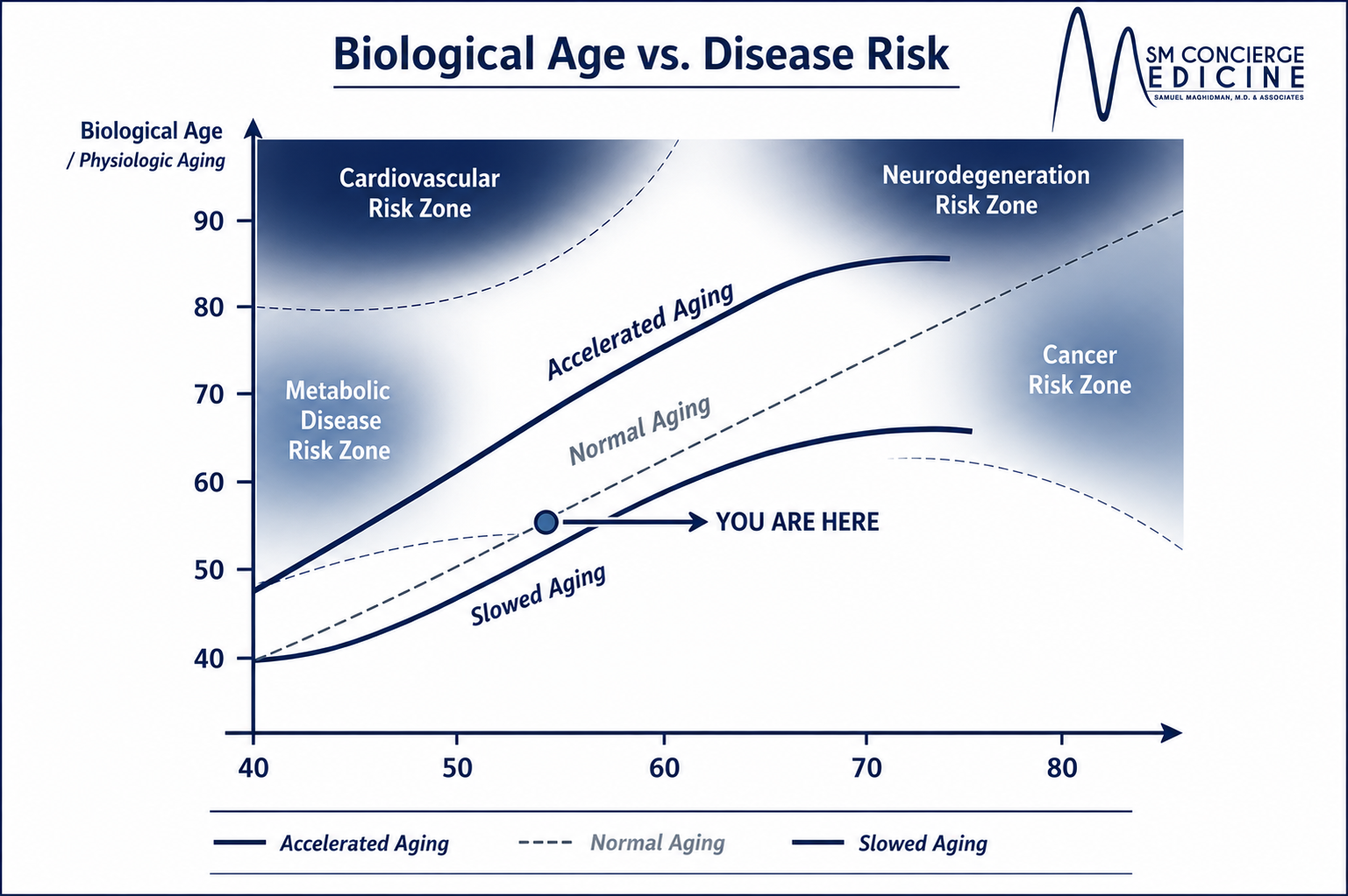 Image Biological Age